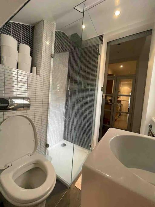 Large Studio Flat In Kensington Londyn Zewnętrze zdjęcie